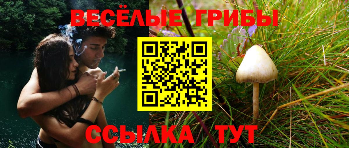 Галлюциногенные грибы ЛСД Котовск
