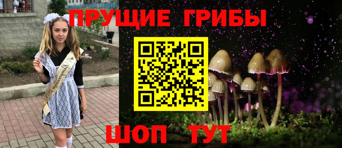 Котовск  Псилоцибиновые грибы MAGIC MUSHROOMS  Вход с VPN  Псилоцибиновые грибы Cubensis 